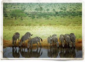 Kenya