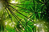 Costa Rica Costa Rica
