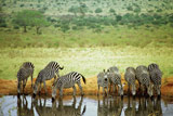 Kenya Kenya