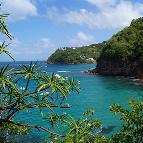 The “real” St. Lucia