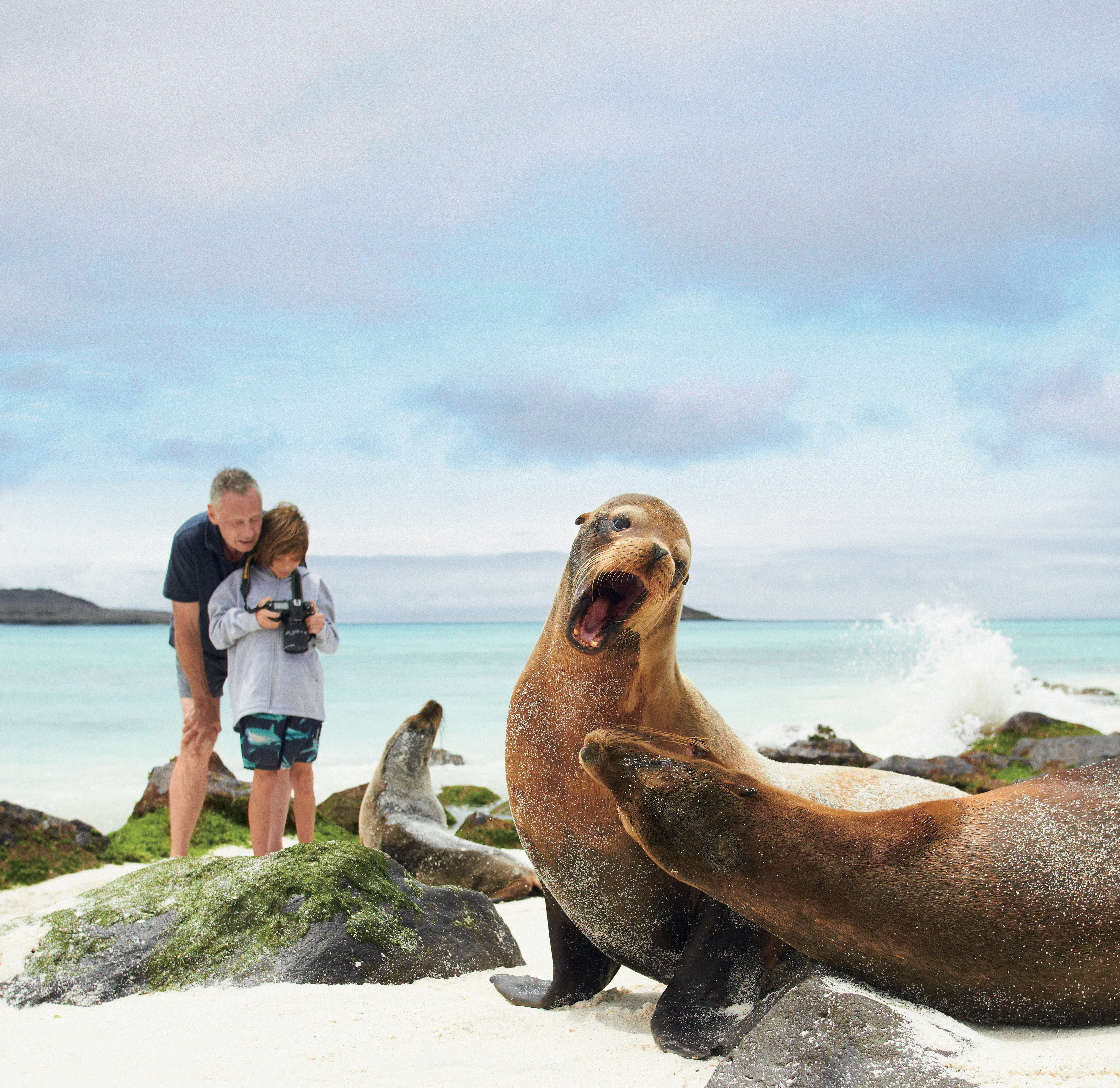 Expedition Travel With Lindblad-National Geographic